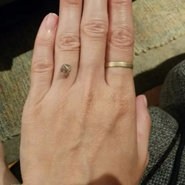 Cultination tweet media