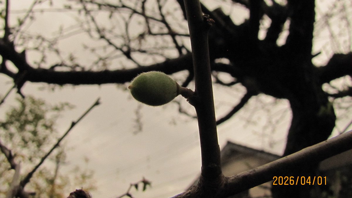 あっちこっち2 tweet media