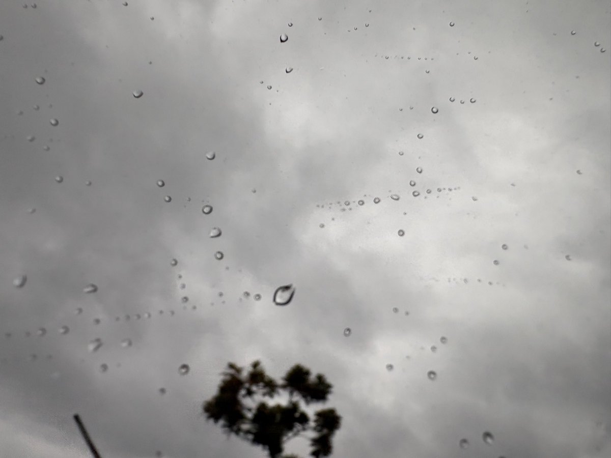 せたがやんちゅ@ワン生活 tweet media