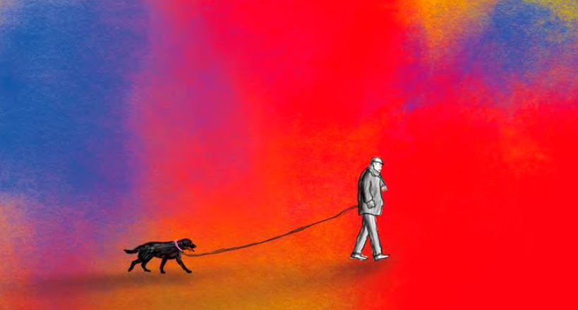 BibliotequesXBM tweet media