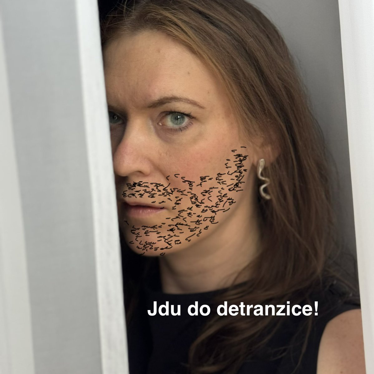 Lenka Králová tweet media