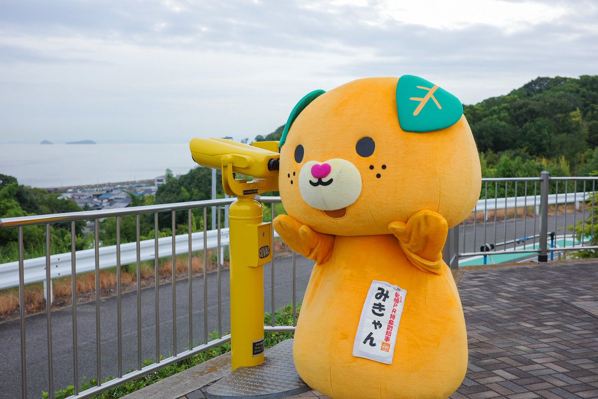 みきゃん【公式】《愛媛県イメージアップキャラクター》 tweet media