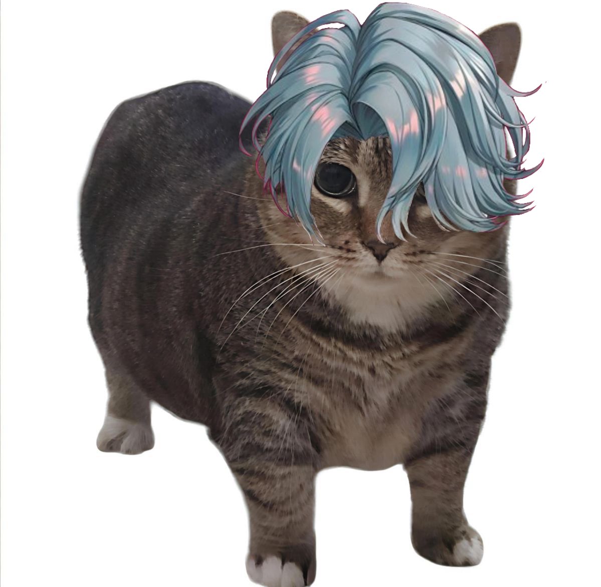 NEKODORE tweet media