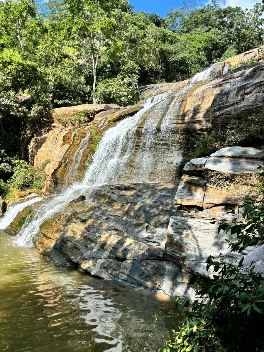 Charter Sights 🌺 tweet media