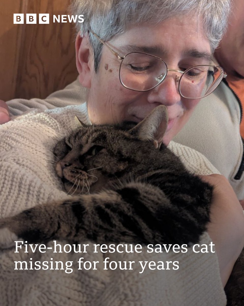 BBC Hampshire & Isle of Wight tweet media