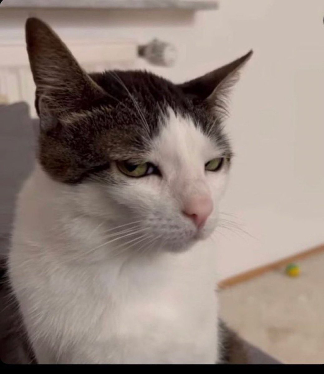 World News Alert tweet media