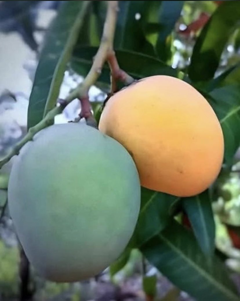 Everywhere Guy 🇺🇸 tweet media