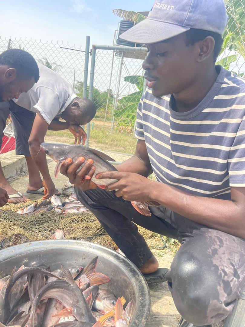 Oyeniran Michael tweet media