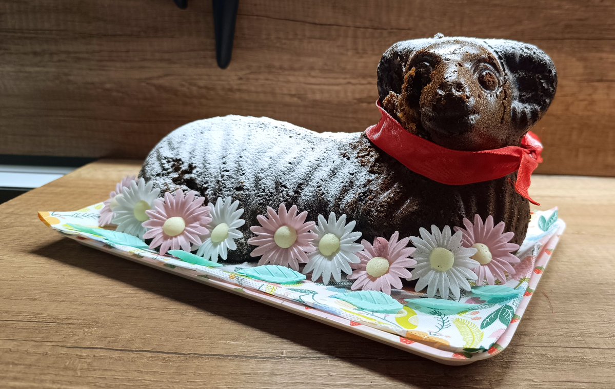 Trošku mu upadla hlava, ale jinak to je fešák 🤭😸 a chuťově výbornej