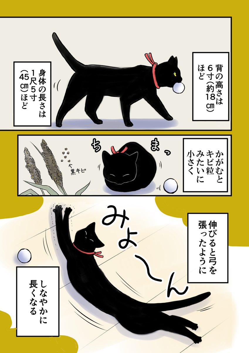 仁和寺の黒若丸 【公式】 tweet media