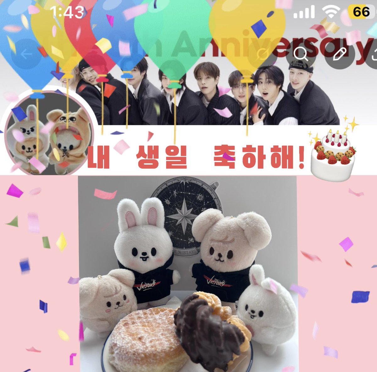 ダリ🐰🐶🎥 tweet media