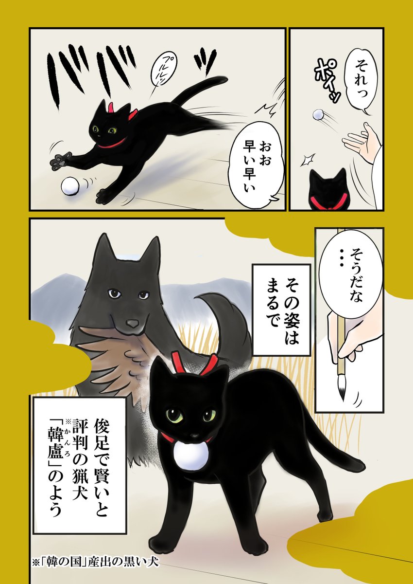 仁和寺の黒若丸 【公式】 tweet media