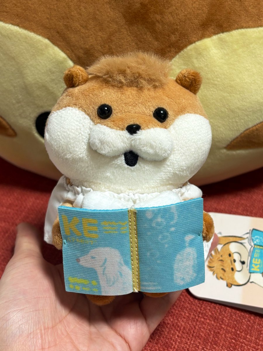 yznun_'s tweet photo. 毎年4/1のお楽しみの東京駅！
#ぬんぬんベーカリー　行ってきました🍞🧡
ぬんちゃんファンの皆さんが可愛い可愛いって楽しんでお買い物してて最高空間だった🥐
Lommy先生、ぬんちゃん、毎年4/1を嬉しい日にしてくれてありがとうございます🥪
お誕生日おめでとお🎂！
#可愛い嘘のカワウソ https://t.co/zUq7HMlvxc