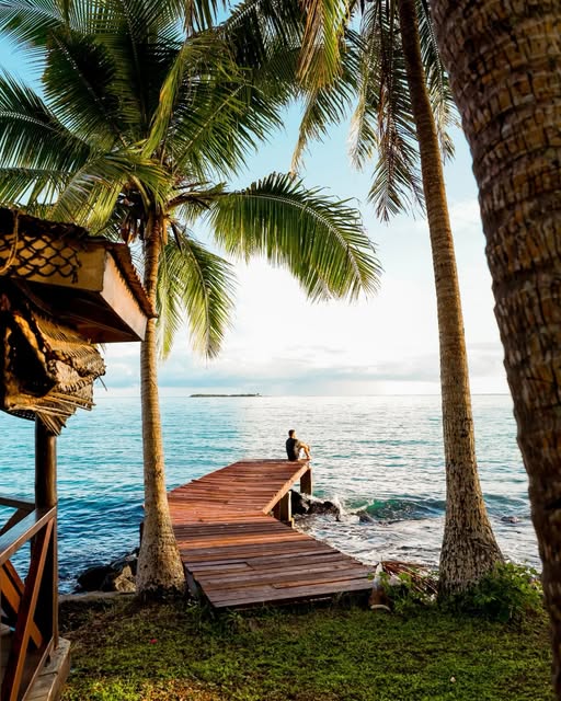 RepPlusUK's tweet image. Samoa is — and we may be a little biased — one of the world’s most underrated destinations. Discover a place off the beaten path that’s refreshingly uncrowded and truly special.

#DiscoverBeautiful #Samoa #BeautifulSamoa #PacificIsland #BucketListDestination #RepPlusClient
