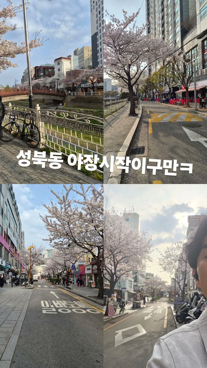 김대곤 아카이브 tweet media