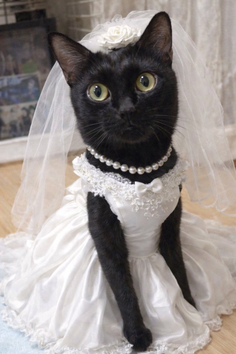 ラブリーレイちゃん💕💕 tweet media