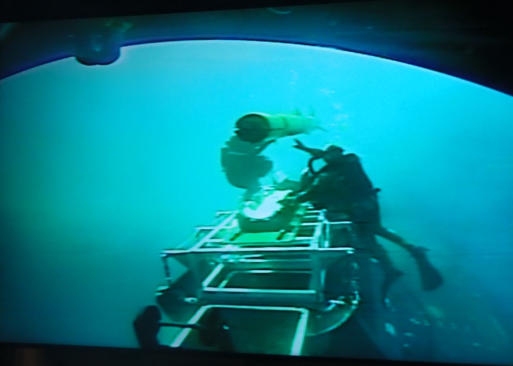 Philippe Top-Action tweet media