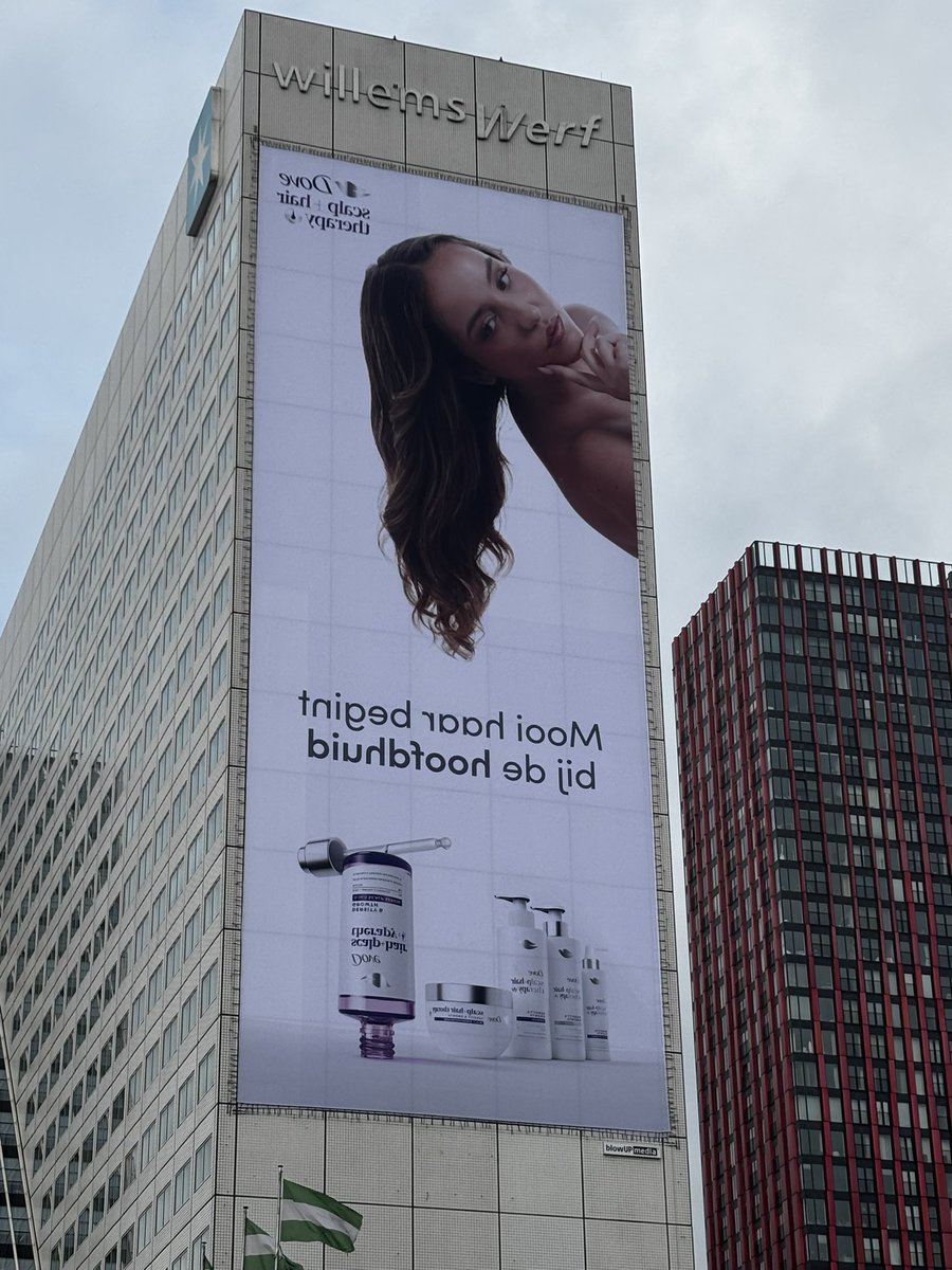 No Context Dutch 🇳🇱 tweet media