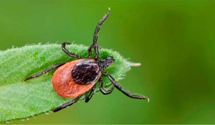 Ксеня tweet media