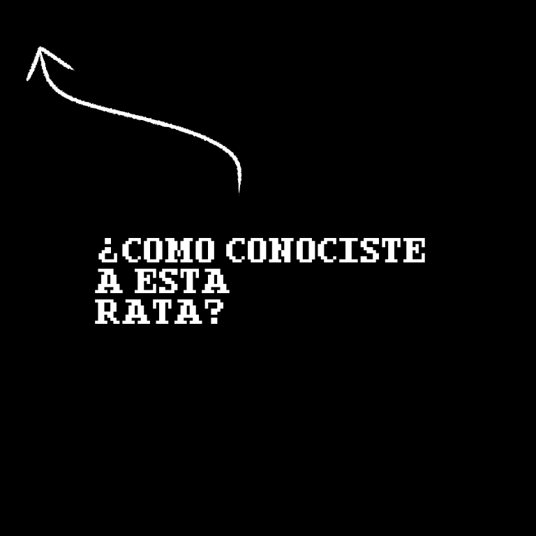 Sillymoron tweet media