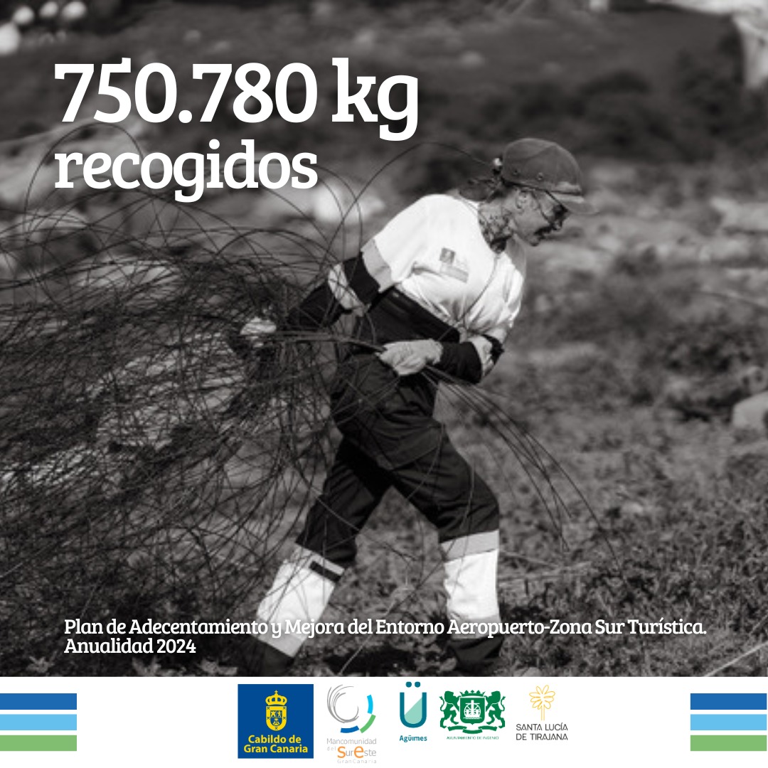 Mancomunidad del Sureste de Gran Canaria tweet media