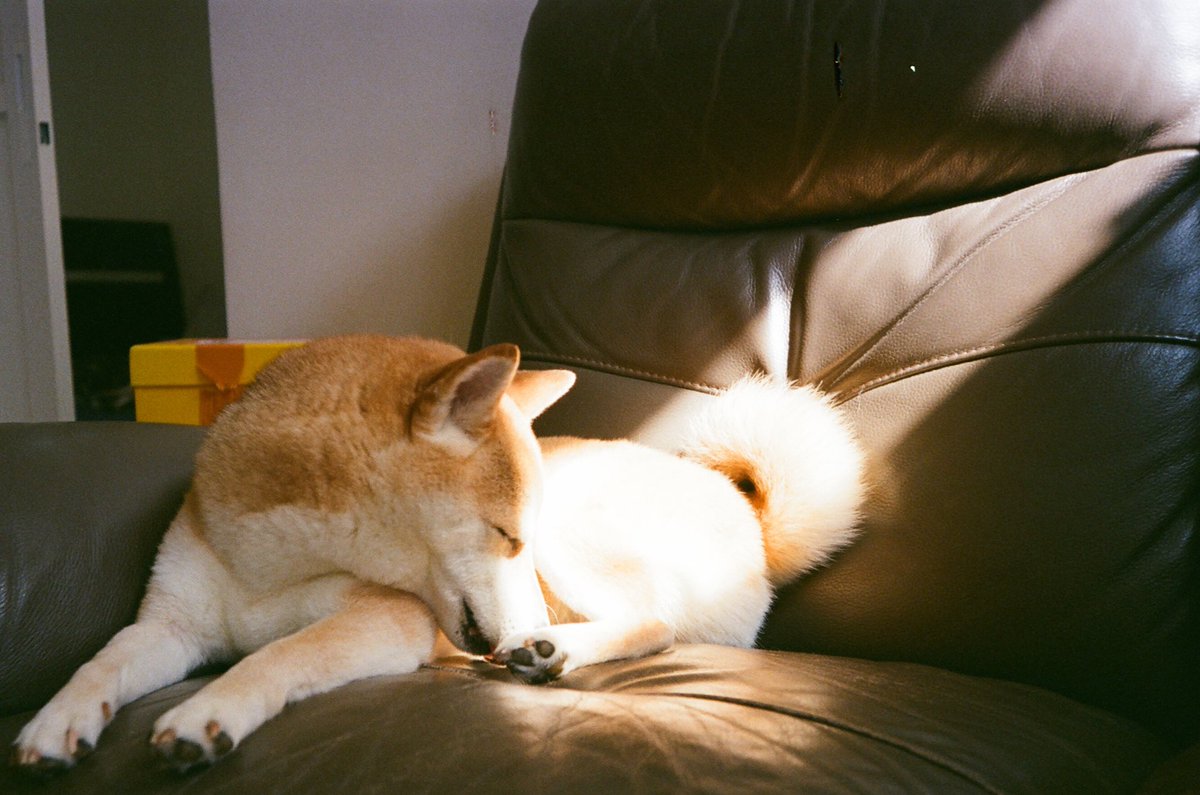 AKARI あかリ tweet media