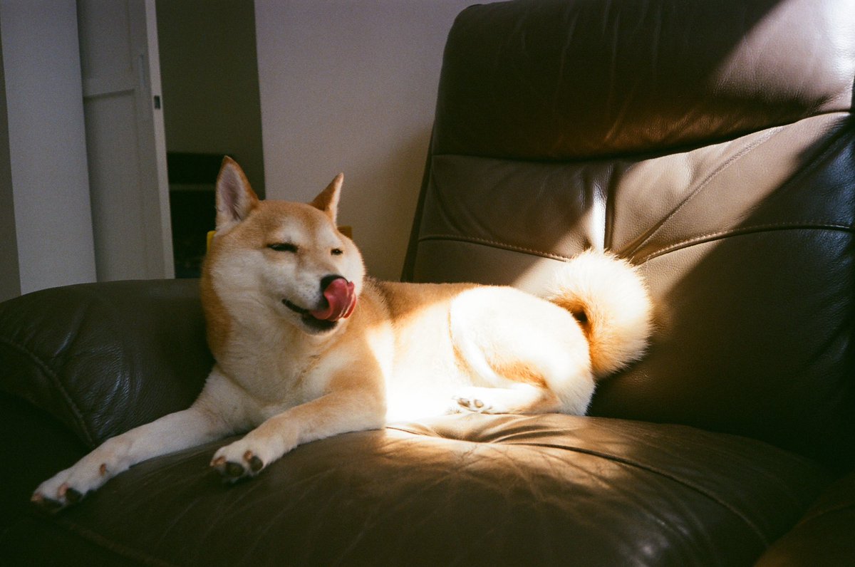 AKARI あかリ tweet media