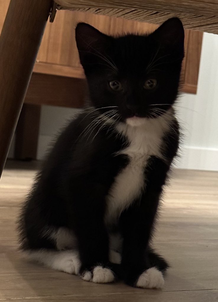 В Вале чего-то нет tweet media