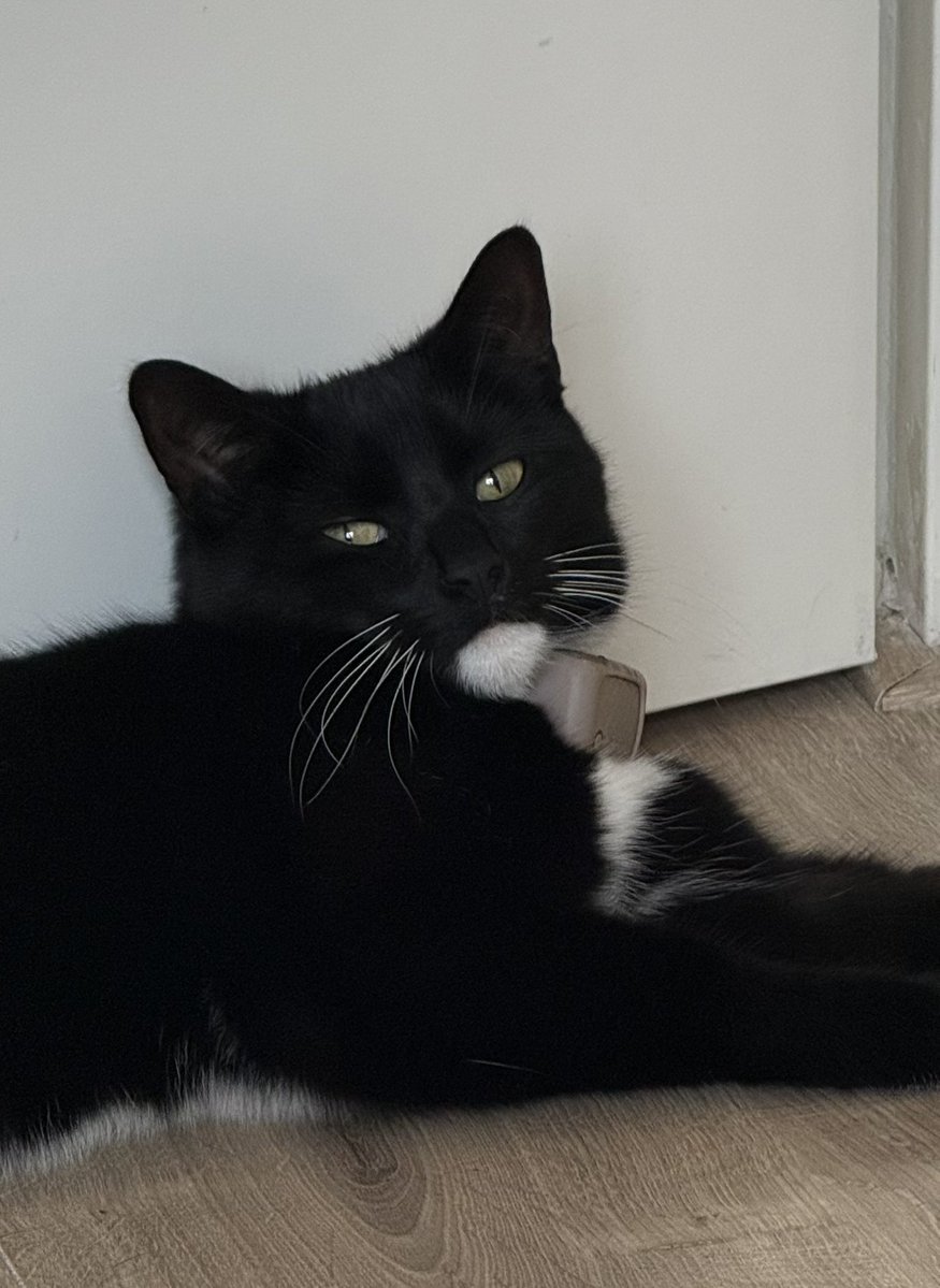 В Вале чего-то нет tweet media