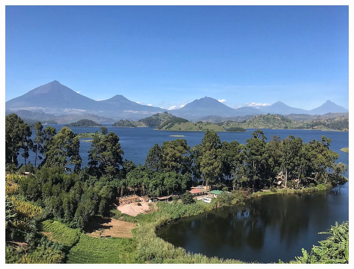 Twin Dominic tweet media