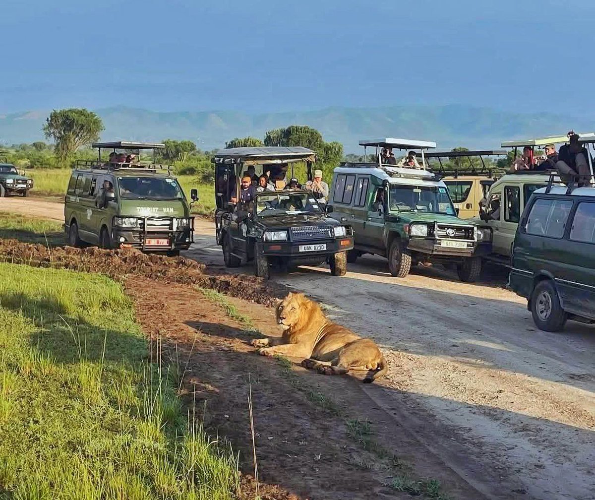 Twin Dominic tweet media