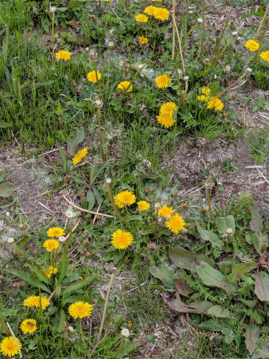 BROS.@新宿 tweet media