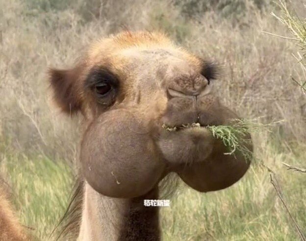 Eng Michael tweet media