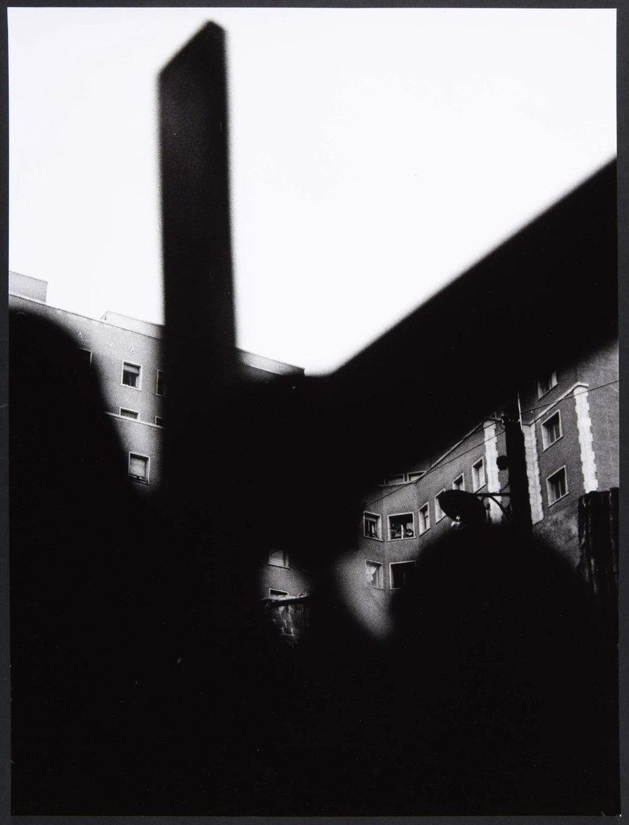 Museo Reina Sofía tweet media