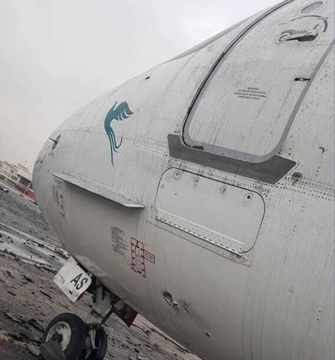 امیرعلی صفا tweet media