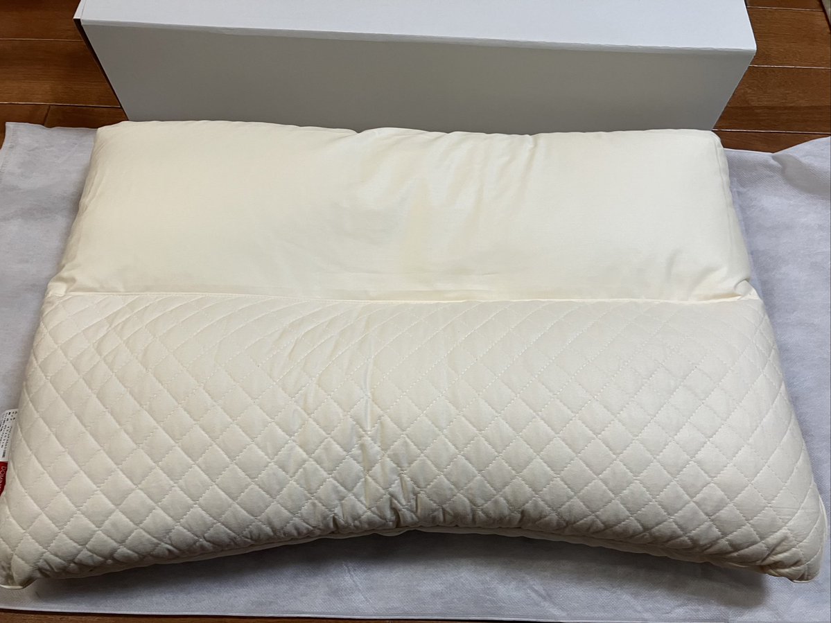 アップルちゃん@ドミ活の楽しみ方 tweet media