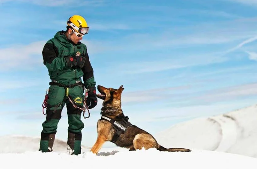la_covatilla's tweet photo. 🏔️ ¡Este sábado vivimos un rescate en la nieve en directo!
La Guardia Civil (GREIM) realizará una demostración espectacular: 🐕🦺 búsqueda con perro de rescate, ❄️ localización de una víctima de alud y 🚁 evacuación en helicóptero.
⚠️ Actividad sujeta a emergencias reales. https://t.co/ZqZyzg1LvB
