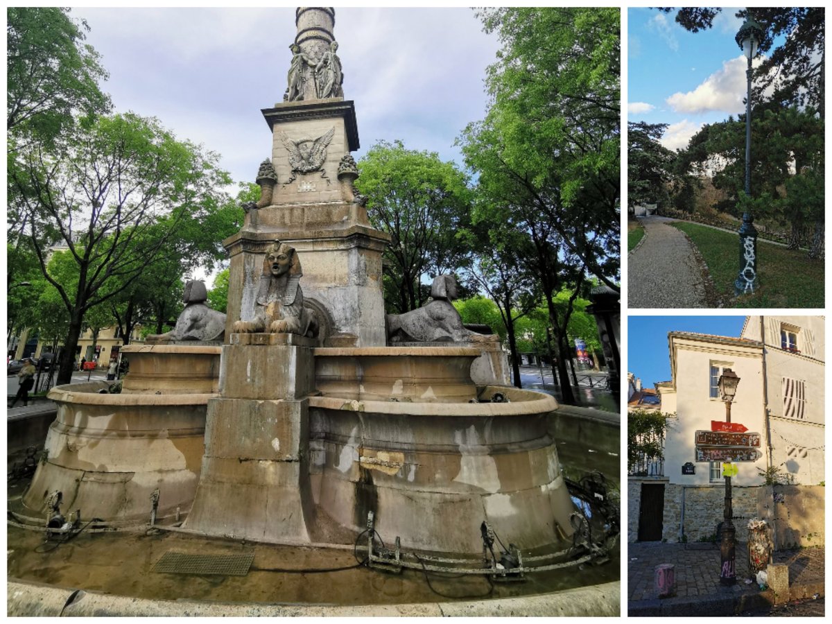 Claire-Amélie Pelosse tweet media