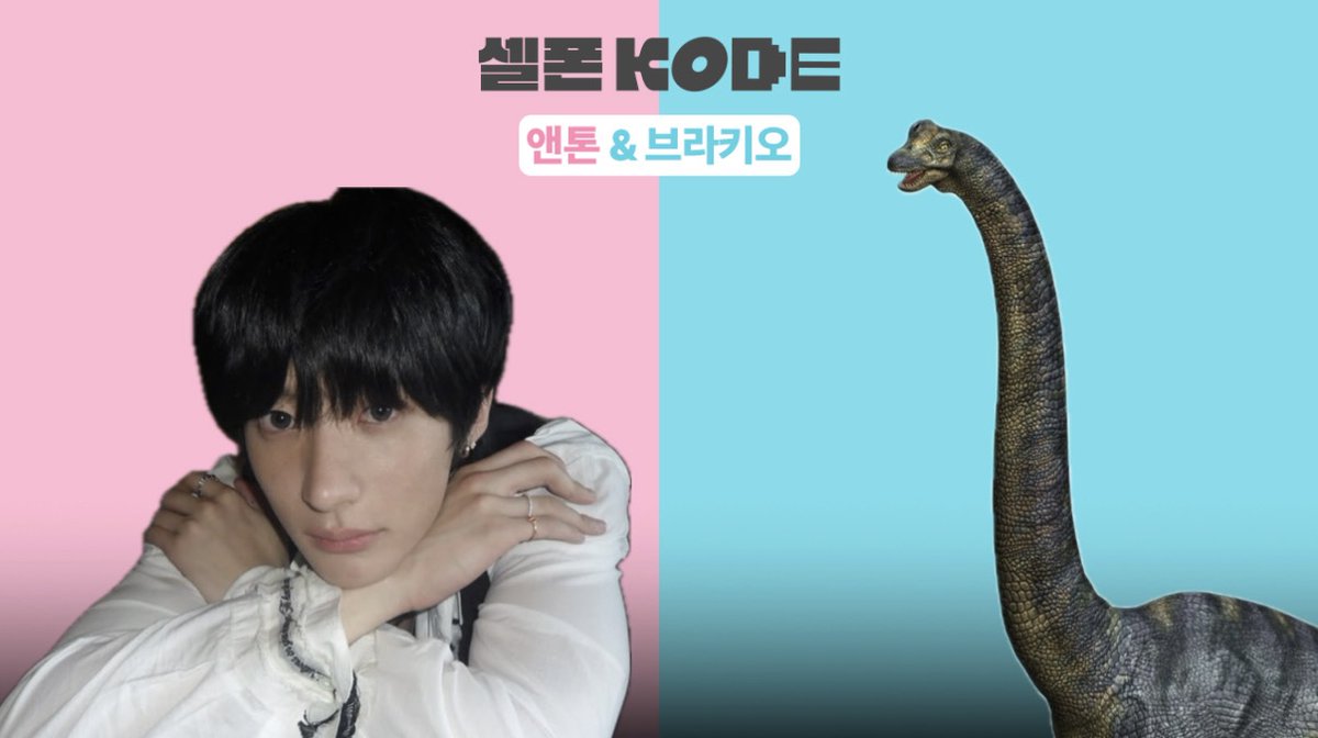KODE코드 tweet media
