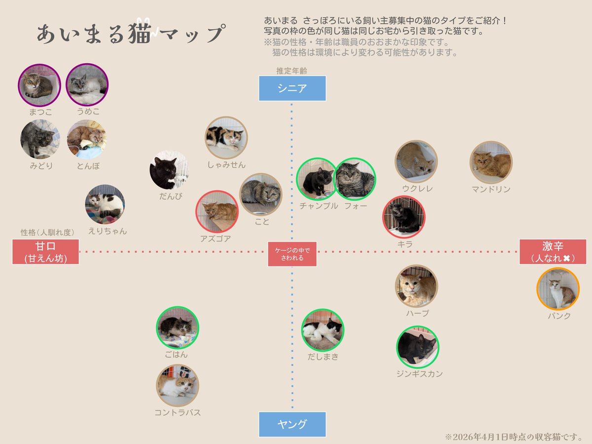 札幌市動物愛護管理センター(あいまる さっぽろ) tweet media