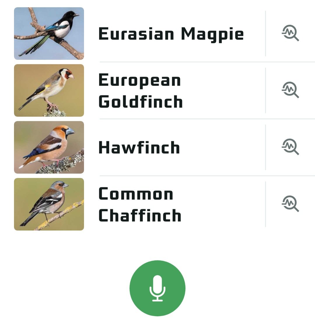 Лисья курочка tweet media