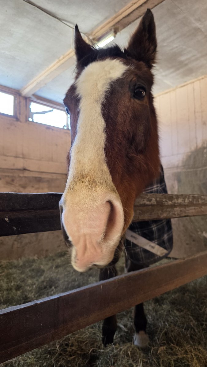 cheezitz tweet media