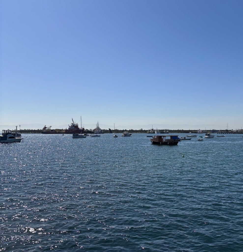 Coinacci | coinacci.base.eth tweet media