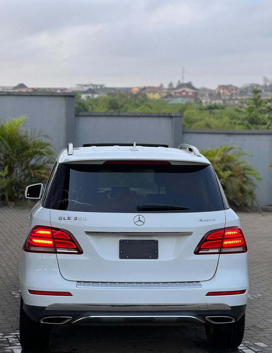 OWELLE🦅 tweet media