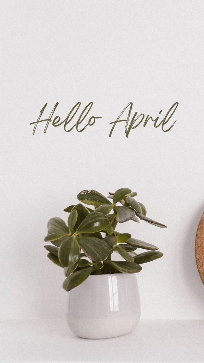 inipie ✨ tweet media