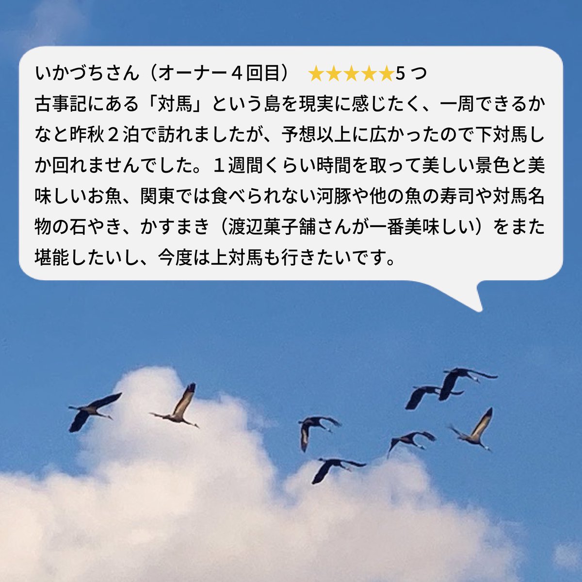 佐護ヤマネコ稲作研究会（公式） tweet media