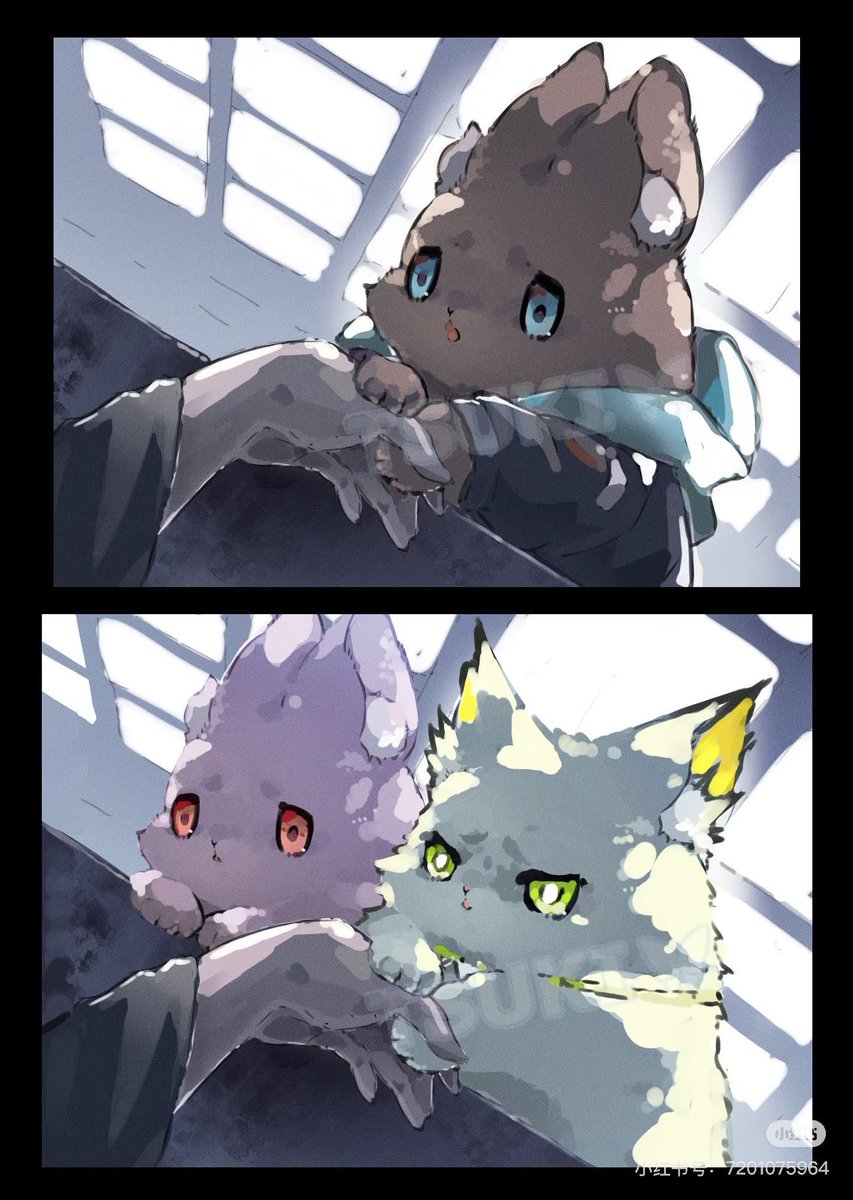 TSUKI🦋月月子 tweet media