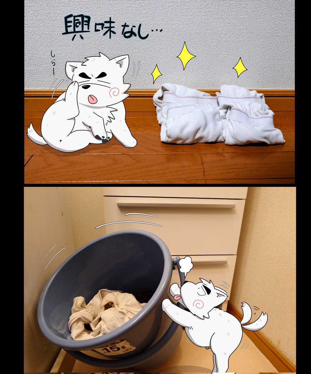 ゆーくん🚚 関けもK-58 tweet media