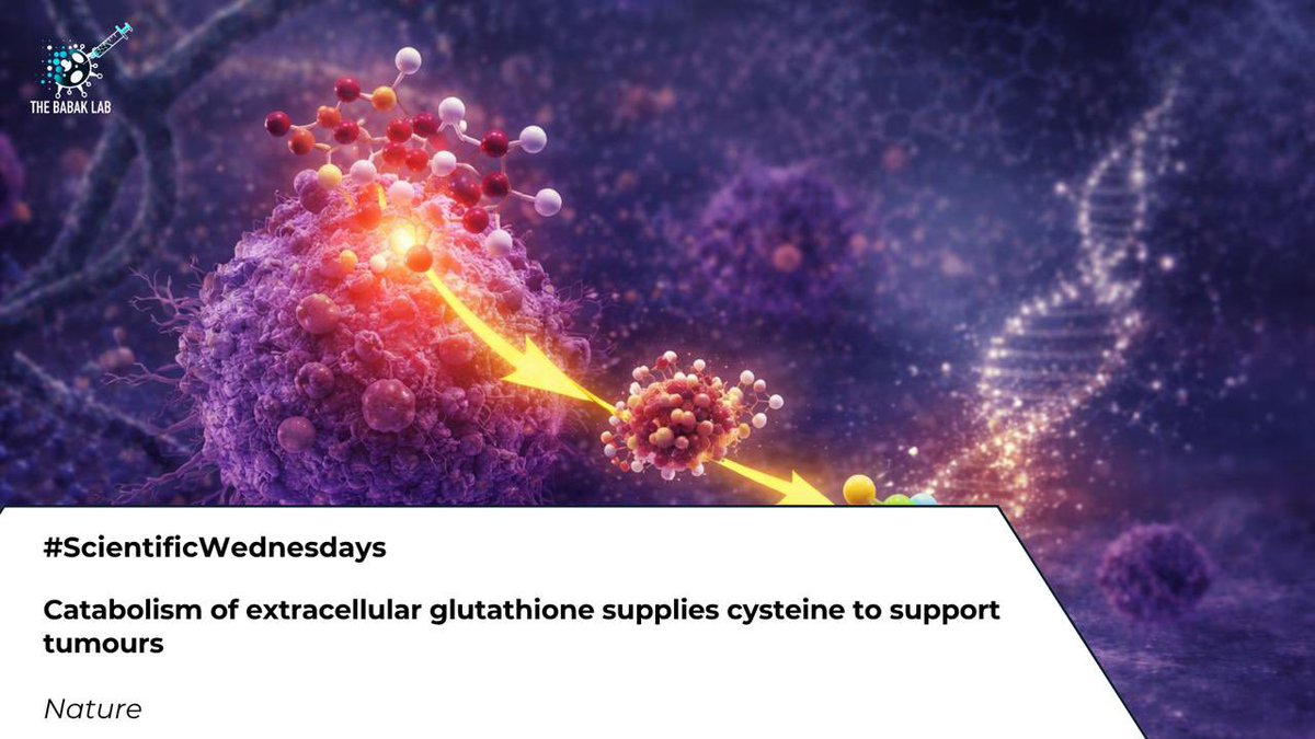 The Babak Lab HK tweet media