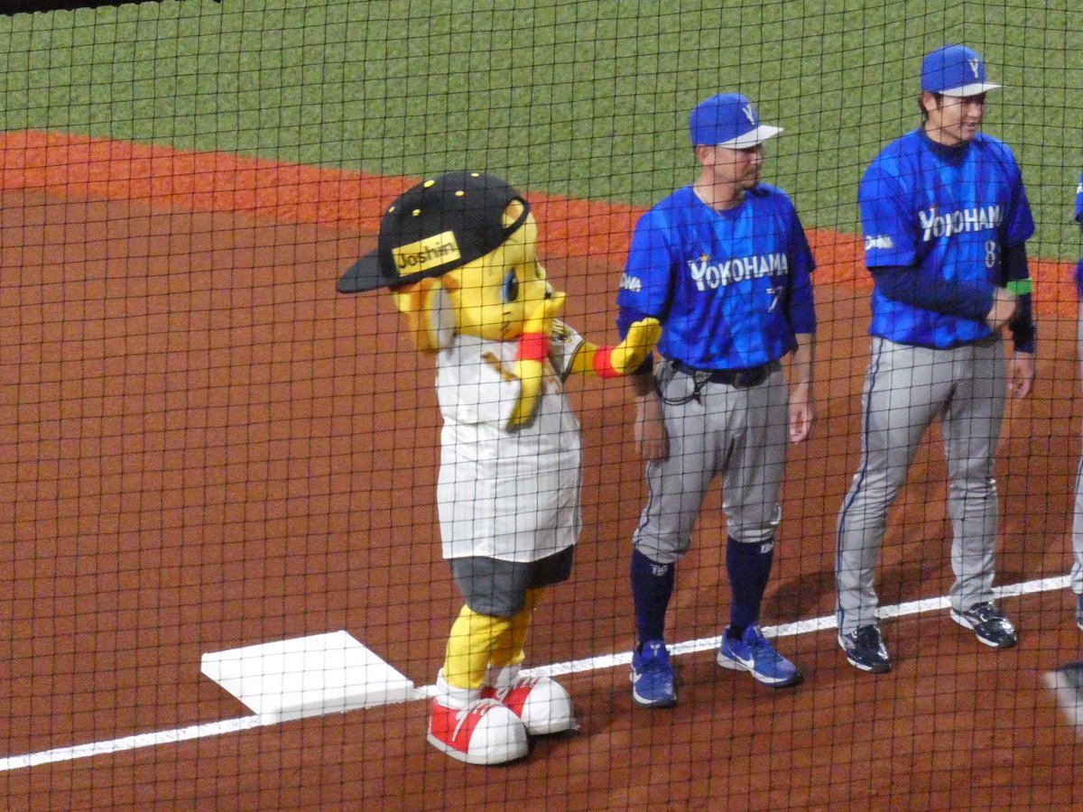 𝚗🪽 tweet media